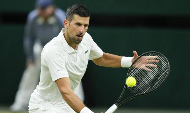 世界网球队轻取德国网球队，德约科维奇制霸全场的简单介绍