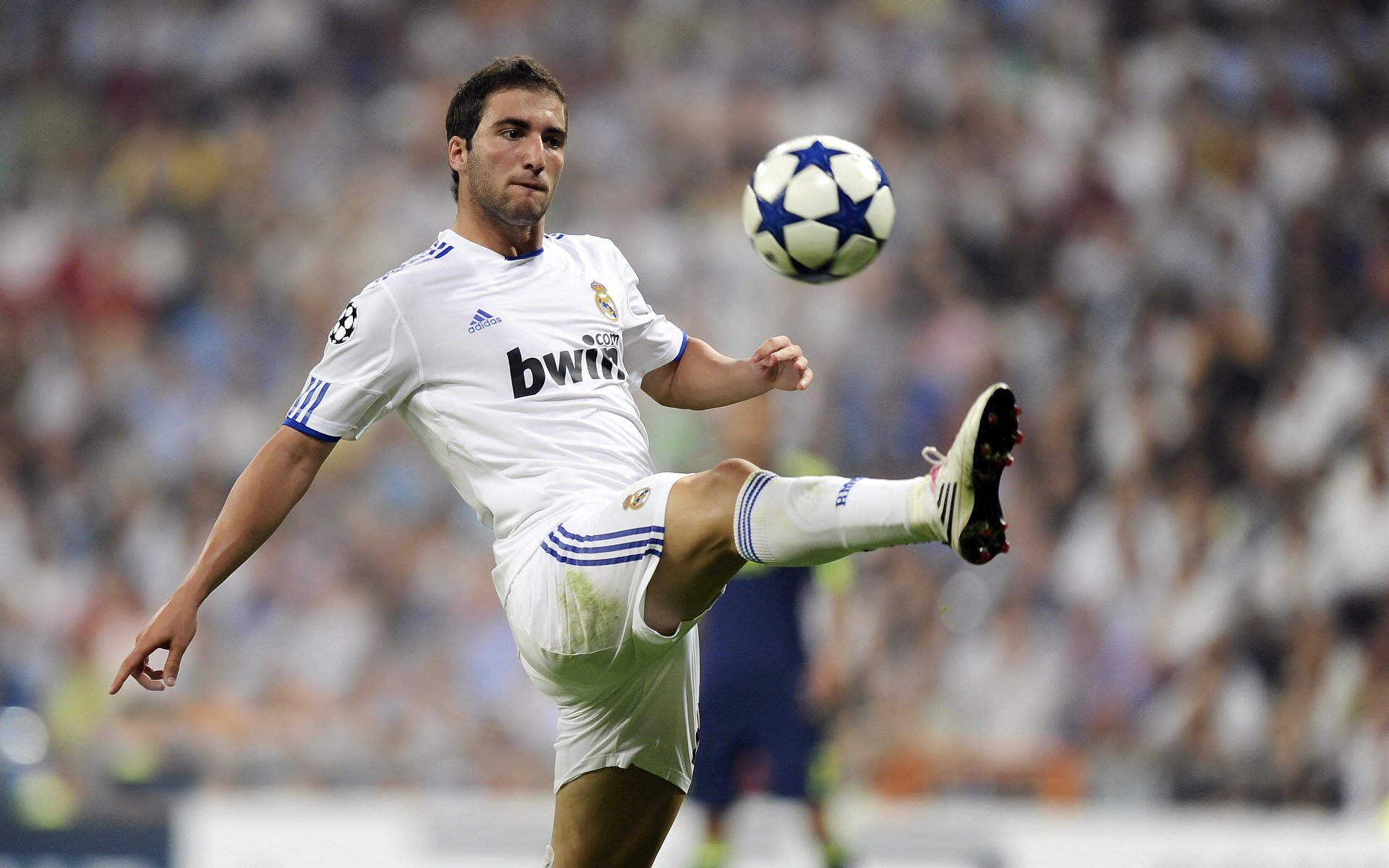 阿什拉夫年度焦点之战，几内亚硬仗取胜皇家社会，摩洛哥飞翼接管比赛